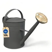 LIVLIG Gießkanne 10 Liter (Giesskanne Metall mit 2 Henkeln, Abnehmbarer Brausekopf), Gießkanne 10L, Gießkanne Vintage, Blumengießkanne