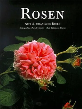 Rosen. Alte & Botanische Rosen [Gebundene Ausgabe] [2000] Eleonore Cruse Paul Starosta