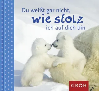 Du weißt gar nicht wie stolz ich auf dich bin [Gebundene Ausgabe] [2009] Bleker Dorothée
