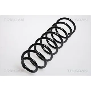 Triscan Feder hinten Audi A4 B5 875029044