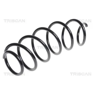 Triscan Feder vorne Citroen C3 875028195