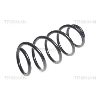 Triscan Feder vorne Hyundai Santa Fe 2 2,2