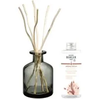 MAISON BERGER PARIS Raumduft Bouquet Aroma Dream Délicatesse Ambreé 180 ml