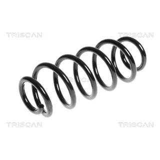 Triscan Feder hinten Audi Tt 875029235