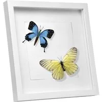 EUGAD Bilderrahmen, (1 St), Holzrahmen mit Papier-Passepartout, Glasscheibe