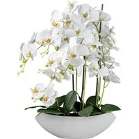Kunstorchidee Orchidee Phalaenopsis Orchidee, Creativ green, Höhe 63 cm, mit real-touch-Blüten