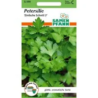 SAMEN PFANN Kräutersamen Petersilie, Einfache Schnitt 3 - Gewürz Petersilien-Samen Saatgut, Petroselinum crispum