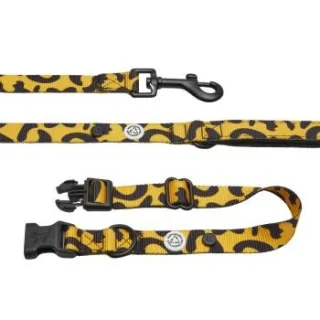 Barkalot Hundehalsband-Auslaufset orange/ schwarz S