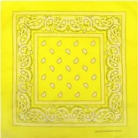 Goodman Design Modetuch Bandana Kopftuch Halstuch Gelb Paisley, aus Baumwolle