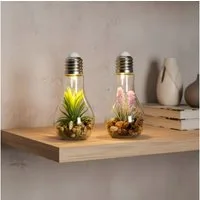 Levandeo® LED Dekoobjekt, 2er Set Sukkulenten Glühbirne Glas je B x H 8 x 19cm Deko LED Lampe