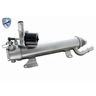Vemo AGR-K?hler Audi Seat Skoda VW V10-63-0124 2,0
