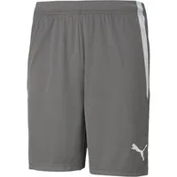 PUMA Trainingsshorts Puma Herren Shorts teamLIGA Shorts 704924