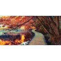 Levandeo® Leinwandbild, XXL Wandbild 115x55cm Leinwand Herbstfarben Wald Herbst Bild