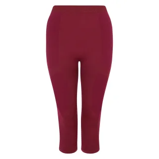 Dare 2B - "In The Zone II" 3/4 Leggings für Damen (Feige)