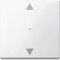 Wippe für Tastermodul einfach, glänzend, Thermoplast, System M, Typ 619419 weiß (glänzend), Retail