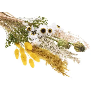Trockenblumen-Sortiment, gelb, grün