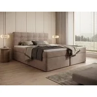 thematys Boxbett Luxus mit Bettkasten 140x200–200x200cm - Velours oder Bouclé Bezug (Polsterbett Bonnellfederkern Matratze H3 + Gratis 3cm Topper, – Doppelbett mit Stauraum - Boxbett)
