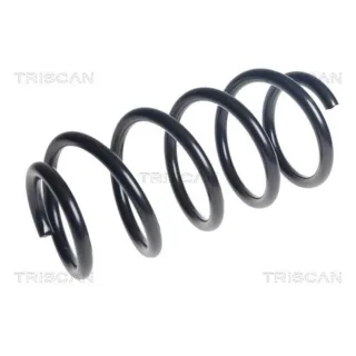 Triscan Feder vorne VW Crafter 2,0 TDI 875029532