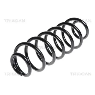 Triscan Feder hinten Ford Fiesta 6 875016084