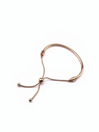 Pandora Armband Roségold