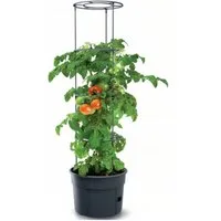 Prosperplast Pflanzkübel IPOM300-S433, Topf für Tomatenpflanze 12L Tomatenzüchter