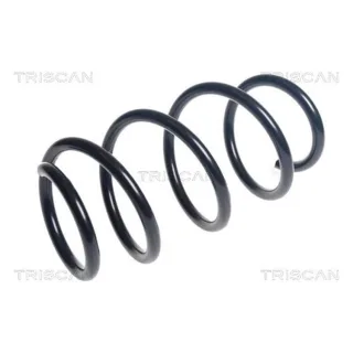 Triscan Feder vorne Mercedes Citan 875023209