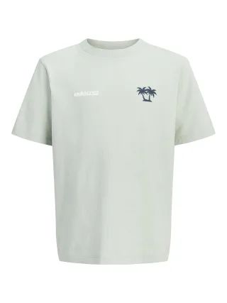 JACK&JONES - JCOCLUB BACK IMAGERY TEE SS CN JNR Aqua Gray - Gr. - 164