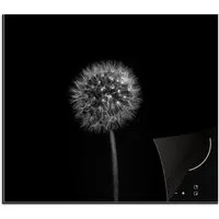MuchoWow Herd-Abdeckplatte Löwenzahn - Schwarz - Floral - Botanisch, Vinyl, (1 tlg), Cerankochfeld Abdeckung, Herd Abdeckplatten Vinyl, 58.3x51.3 cm