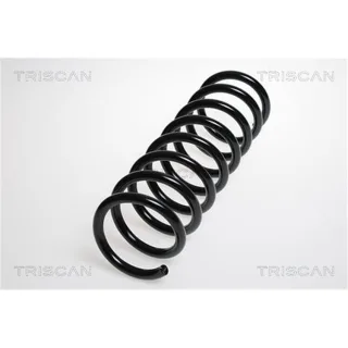 Triscan Feder hinten Mazda 5 87505066