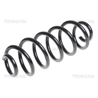 Triscan Feder hinten Audi A4 A5 A6 875029274