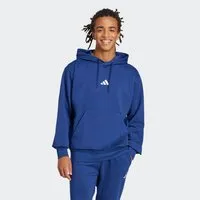 adidas Sportswear Kapuzensweatshirt ESSENTIALS FEELCOZY HOODIE