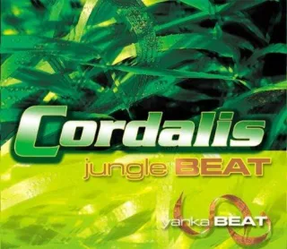 Jungle Beat