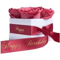 Kunstblume Infinity Rosen Rosenbox Happy Birthday Geburtstag Geschenk für Frauen Rose, ROSEMARIE SCHULZ Heidelberg, Höhe 8.5 cm, echte Rosen lang haltbar, Made in Germany