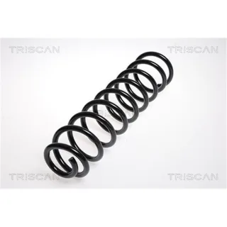 Triscan Feder vorne Mercedes E-Klasse W211 87502381