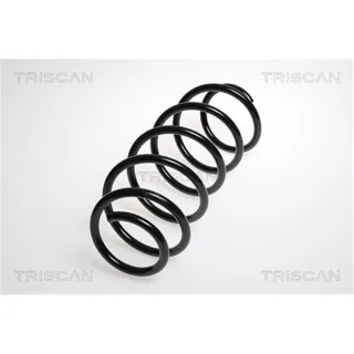 Triscan Feder vorne Ford Fiesta 5 875016048