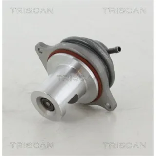 Triscan AGR-Ventil Smart Forfour Fortwo