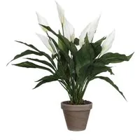 Kunstpflanze Mica Kunstpflanze Spathiphyllum weiß im Topf 11,5, Mica Decorations