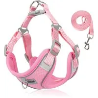 HS.SUPPLY Hunde-Geschirr Atmungsaktives Hundegeschirr mit Leine, Verstellbar & reflektierend, auch für Katzen geeignet, inklusive Leine