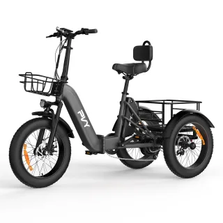 [EU DIRECT] PVY F20 Electric Tricycle Cargo 48V 21Ah Battery250W(Unlocked 1000W) Motor Recommended Top Speed 25KM/H