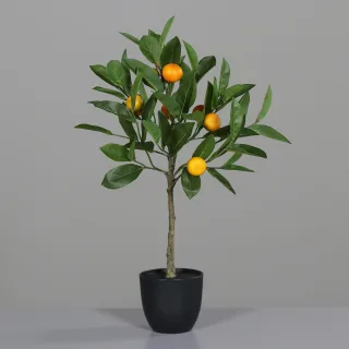 Kunstpflanze Mandarinenbaum