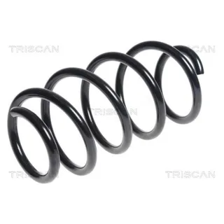 Triscan Feder vorne Audi A3 VW Passat 2,0