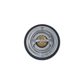 NRF Thermostat 725215