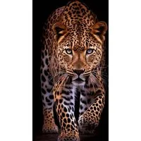 Rötting Design Malen nach Zahlen BASTELIDEEN 5d Diamond Painting Set Motiv geheimnisvoller Leopard (Komplett-Set), Diamond Painting Vollbild, Lieferung enthält alle Utensilien