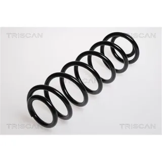 Triscan Feder hinten Skoda Octavia Roomster VW Bora Golf