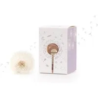 Die Stadtgärtner Spardose Kreative Verpackung zum Geld verschenken, Wunscherfüller Pusteblume