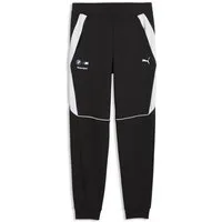 PUMA Sporthose BMW M MOTORSPORT Sportswear Hose Herren
