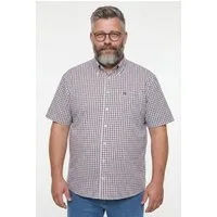 Men Plus Kurzarmhemd Karohemd Halbarm Seersucker Buttondown-Kragen
