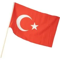VertriebsArena GmbH Fahne Türkei-Fahne 40x60cm mit Holzstock