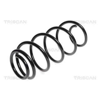 Triscan Feder vorne Citroen Berlingo C4 Peugeot Partner 875028133