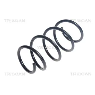 Triscan Feder vorne Seat Leon VW Golf